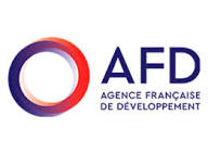 Partner 4